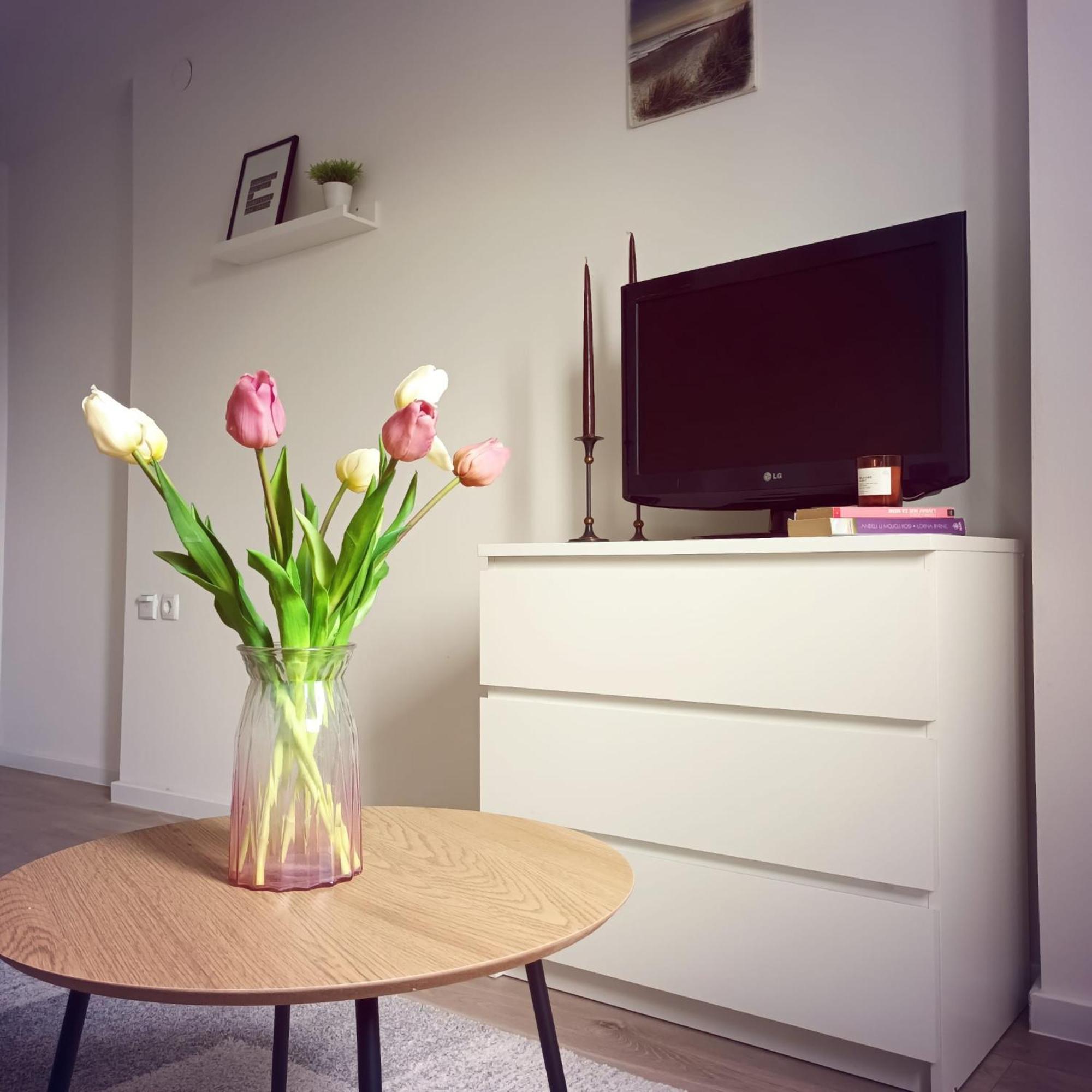 זאגרב Modern Studio Near City Center מראה חיצוני תמונה